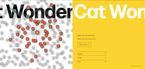 Landing page for WonderCat Website